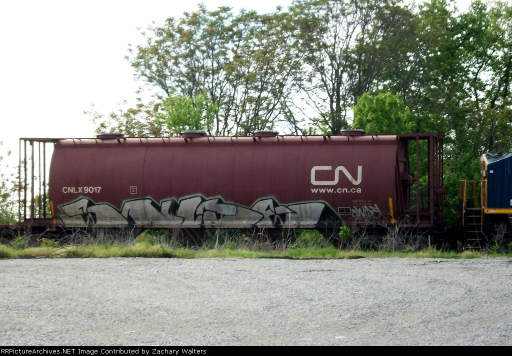CNLX 9017