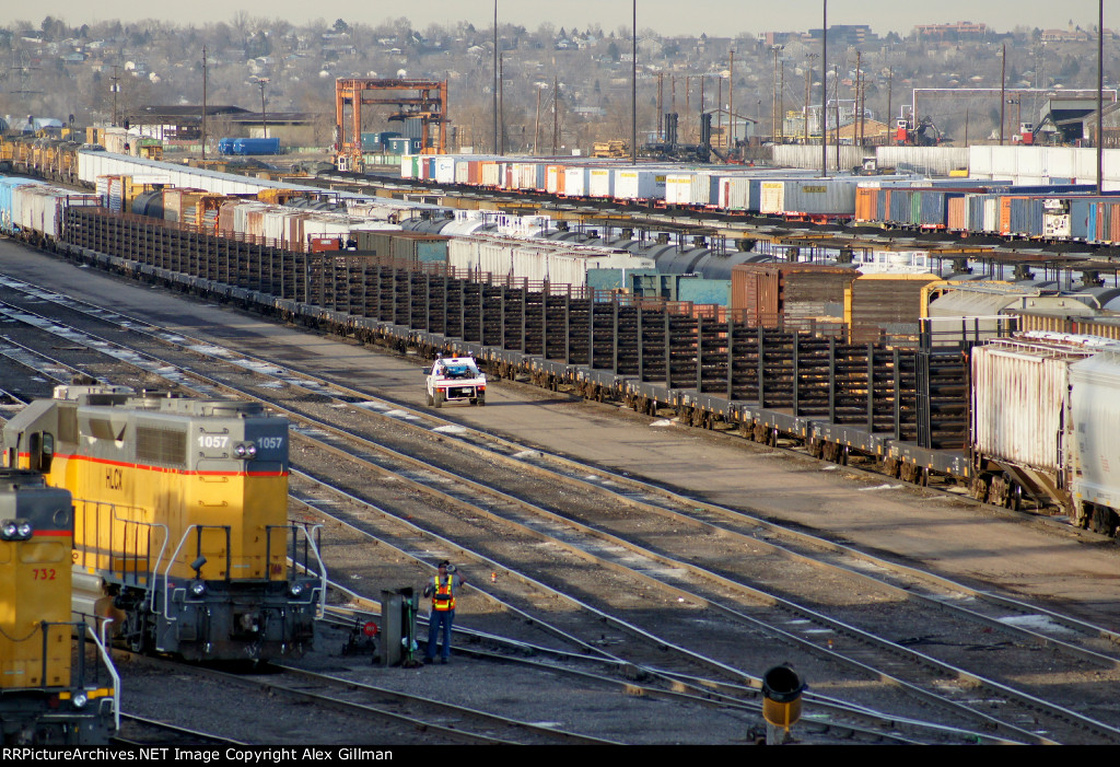 Rail Train Over Deeer