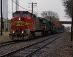 Warbonnet