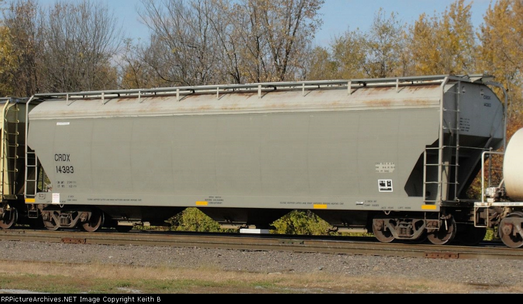 CRDX 14383