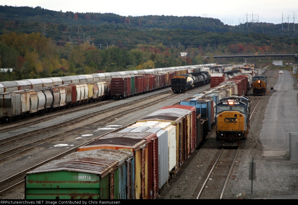 Selkirk yard looking west