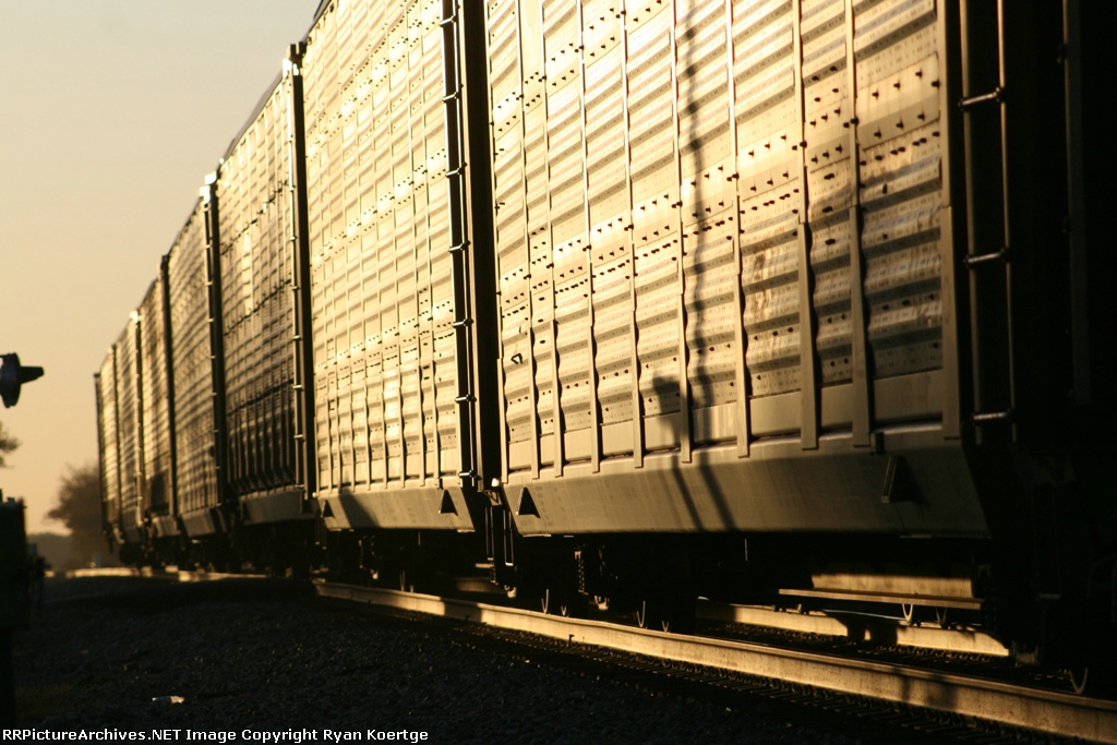 Let My light shine down.