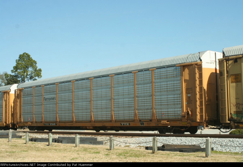 TTGX 975645