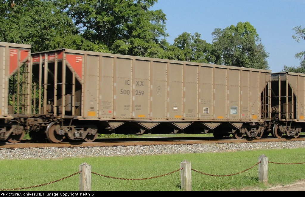 ICXX 500259