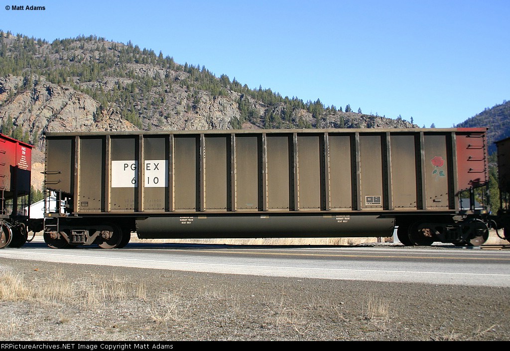 PGEX GT 610