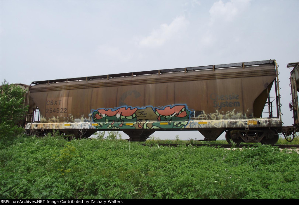 CSX 254522 Chessie