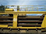 Detail shots of CSX R-1 Rail train at Cusseta, AL
