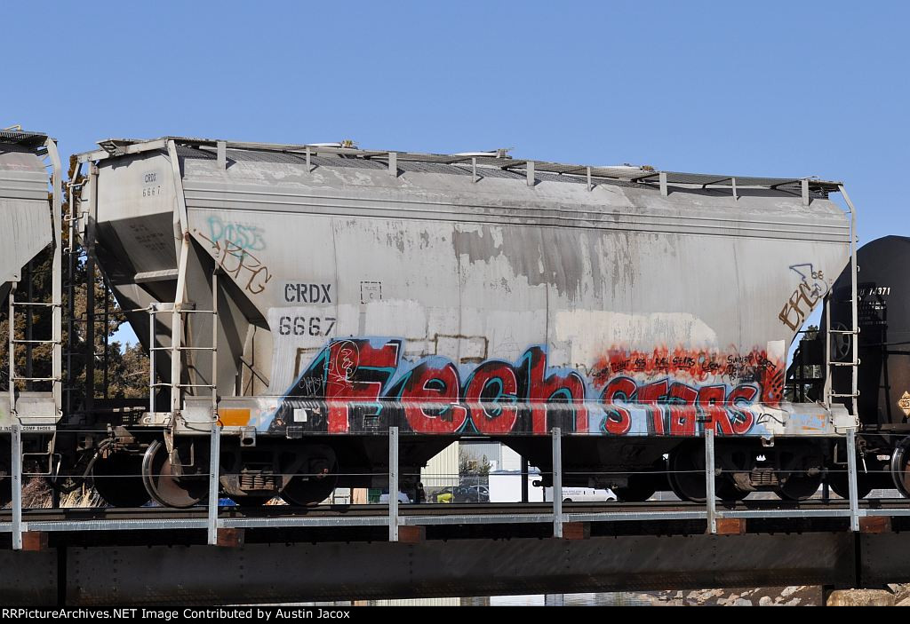 CRDX 6667
