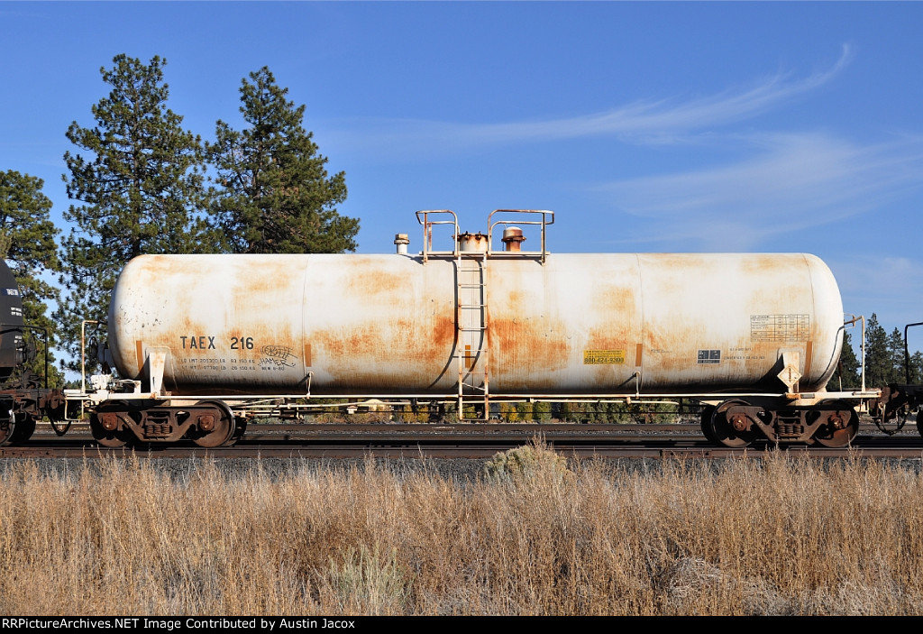 TAEX 216