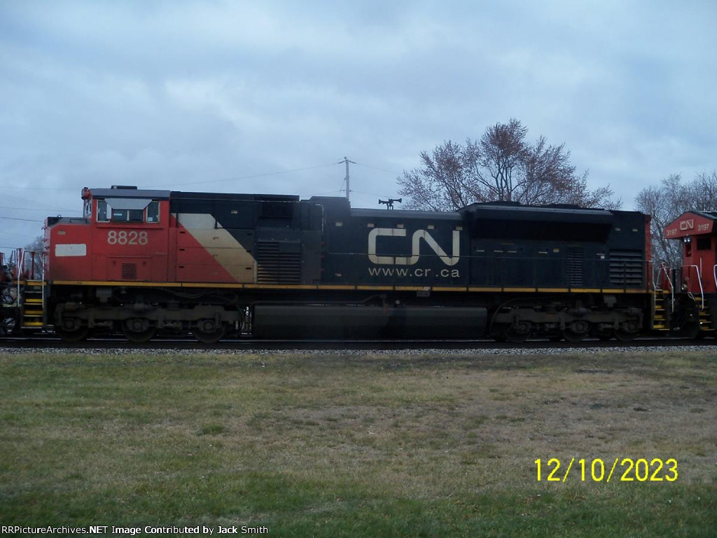 CN 8828