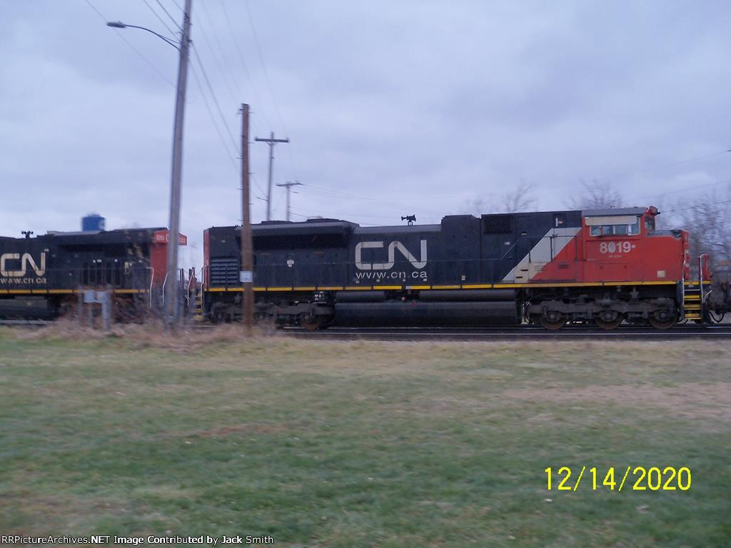 CN 8019