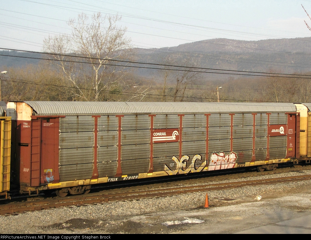 TTGX 979129 (CR-Q)