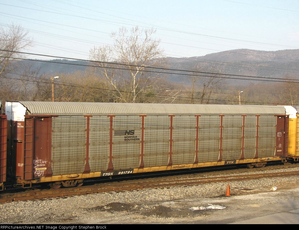 TTGX 991794 (NS)