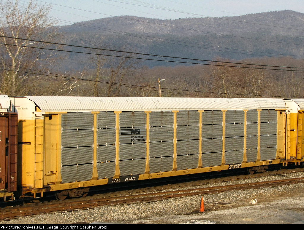 TTGX 913813 (NS)