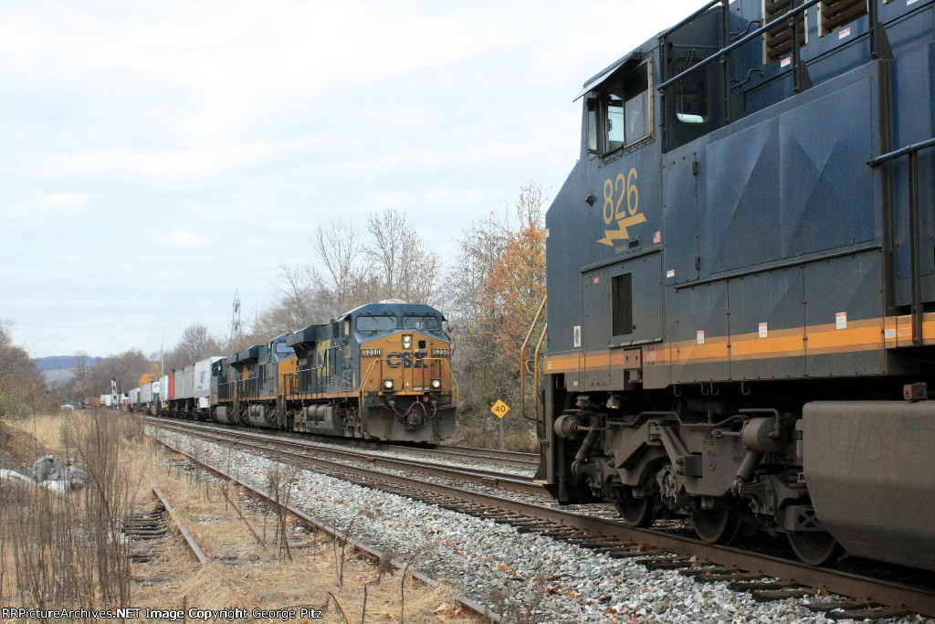 CSX Q032 meets Q439