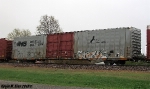Thoroughbred Gray Boxcar on NS 32Q