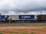 RUMO HPT-033813-3