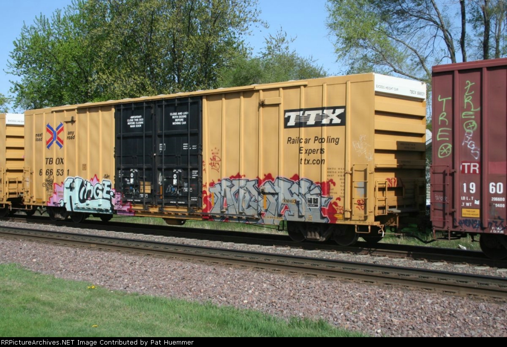 TBOX 666531