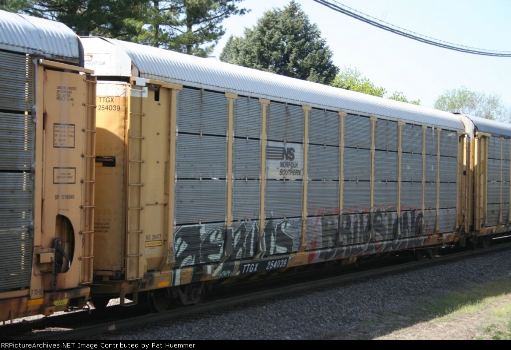 TTGX 254039