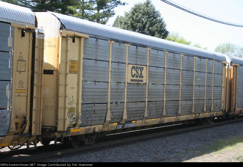 TTGX 979905
