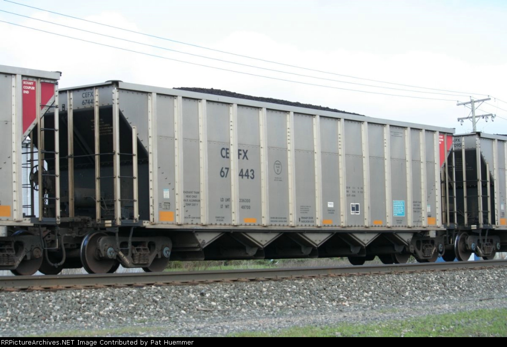 CEFX 67443