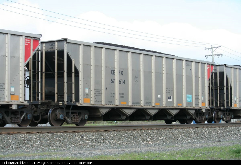 CEFX 67614