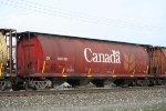 CN 110738