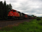 CN 8893