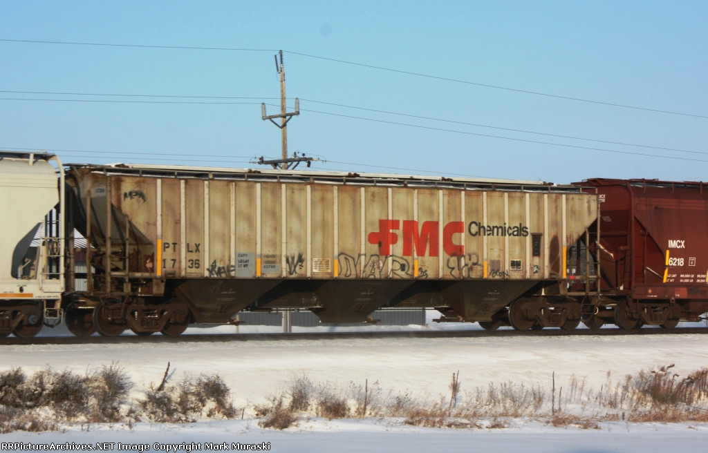 PTLX 17364