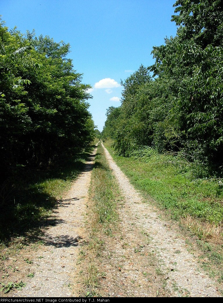 Most of the C&O Lexington Subdivision right of way serves as farm roads, this view is looking west