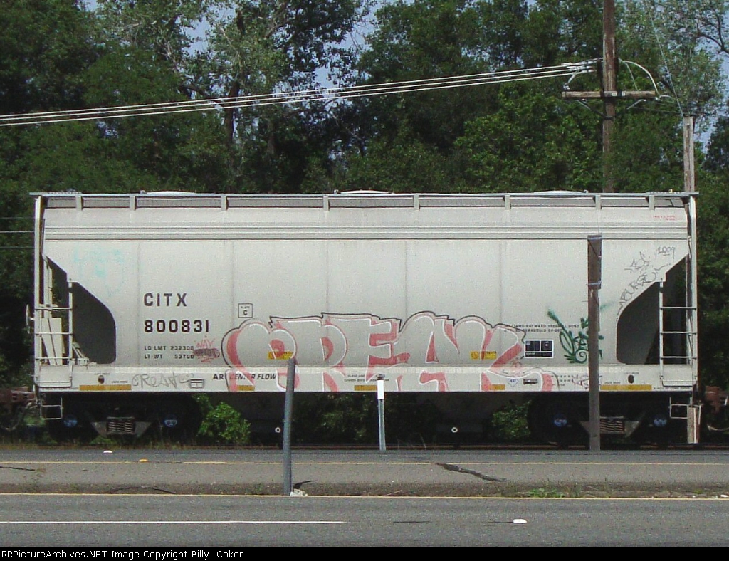 CITX 800831