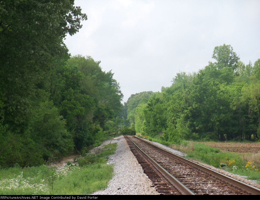 Tree down on CSX Memphis sub