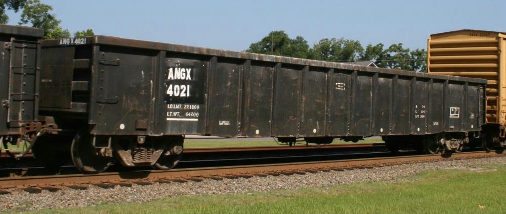 ANGX 4021