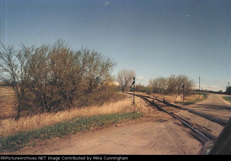 Distinctive CGW Switch