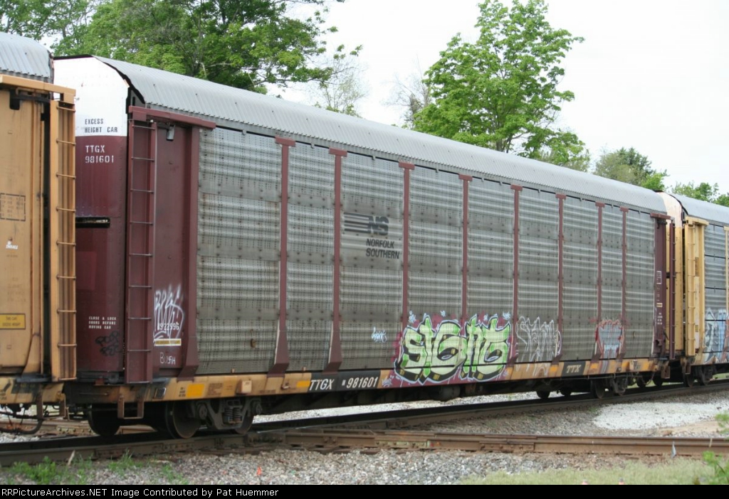 TTGX 981601