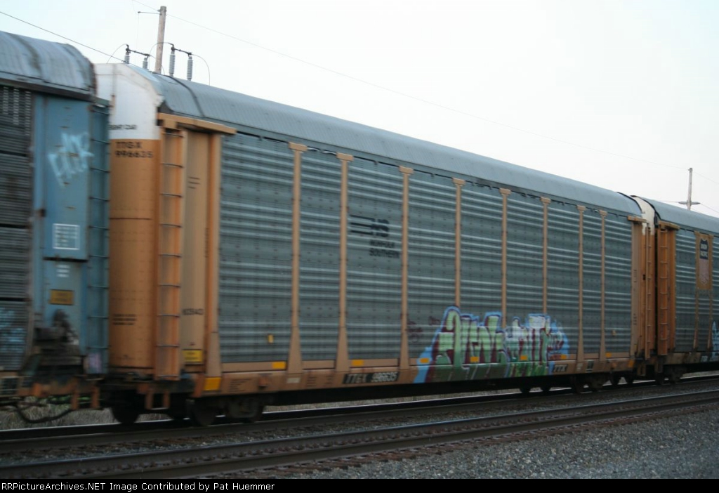 TTGX 996635