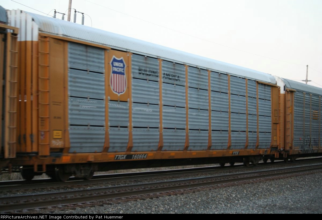 TTGX 160664