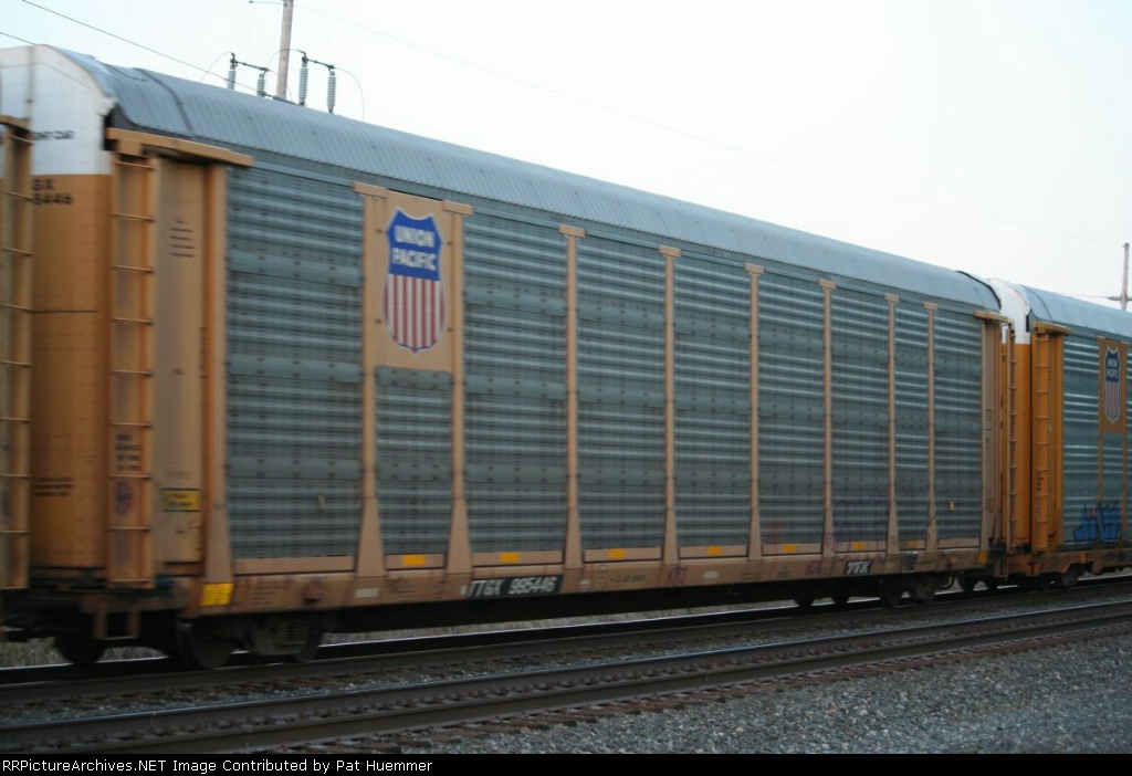 TTGX 995446