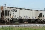 NS 254197