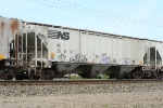 NS 254197