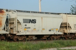 NS 294299