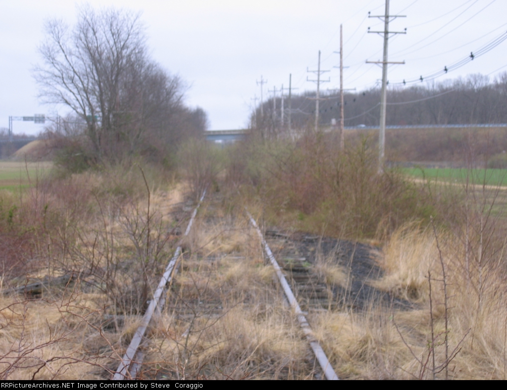 Freehold Secondary, (Section Out of Service)  Looking South from Okerson Road