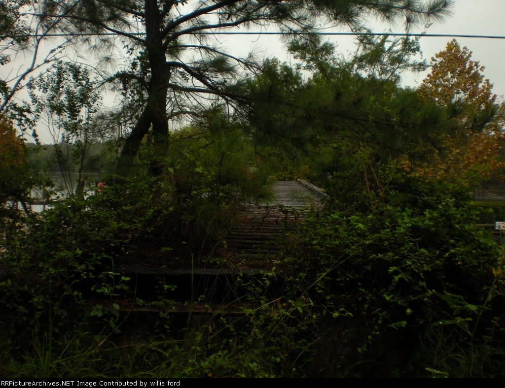 Altamaha river bridge