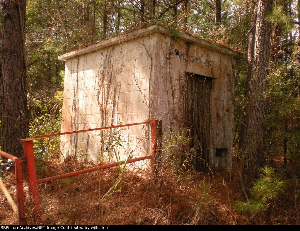 Detector South of Riceboro