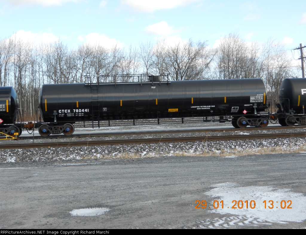 CTCX 780441
