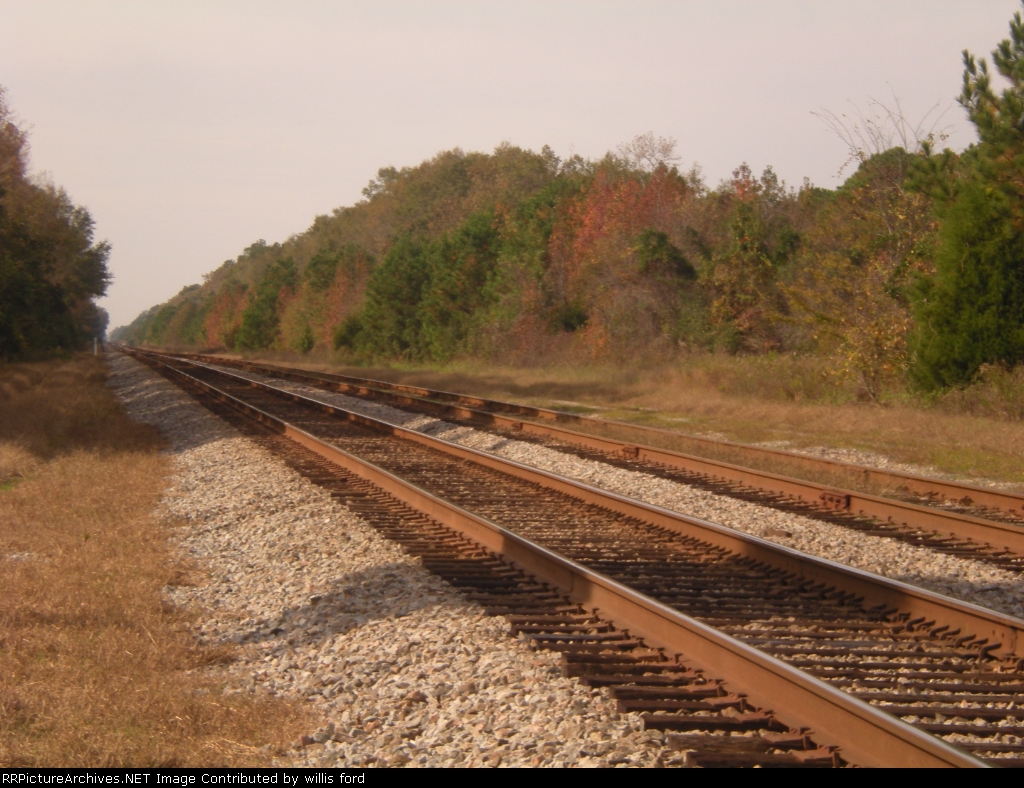 Tracks at Green Pond