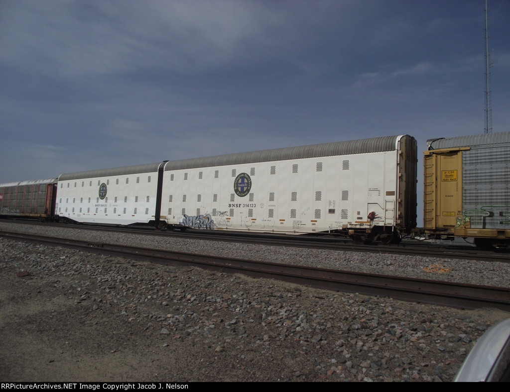 BNSF 314123
