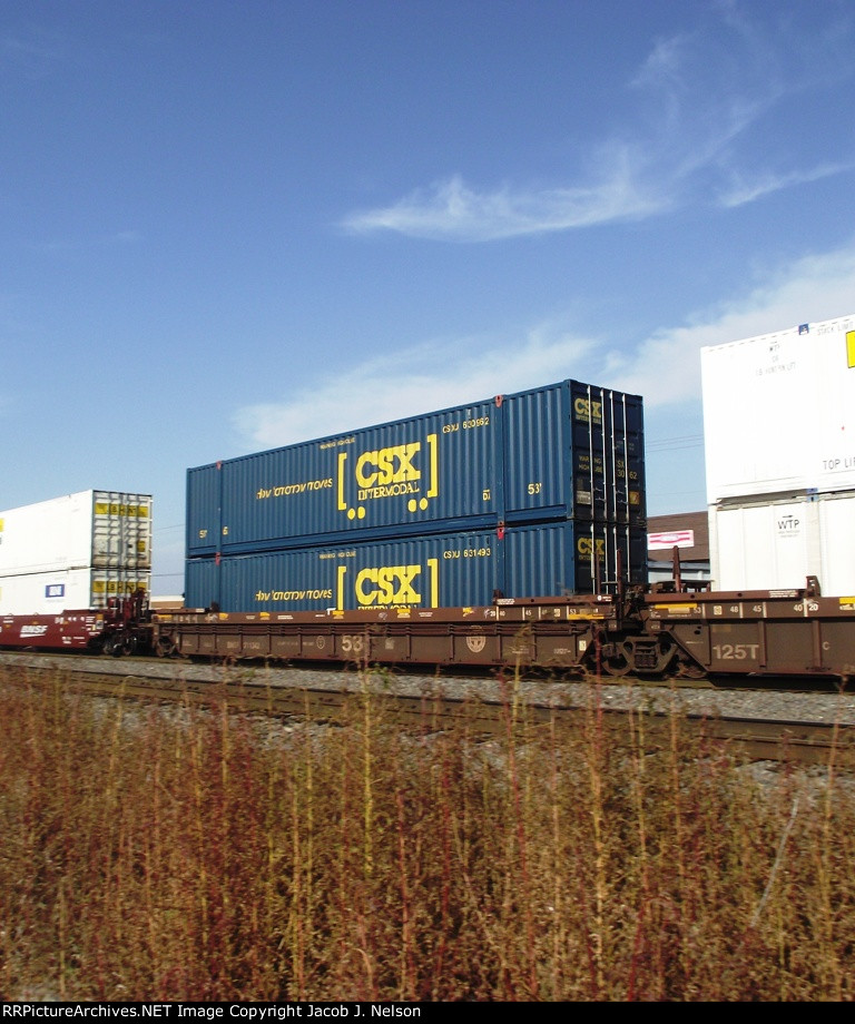 CSX container on the BNSF
