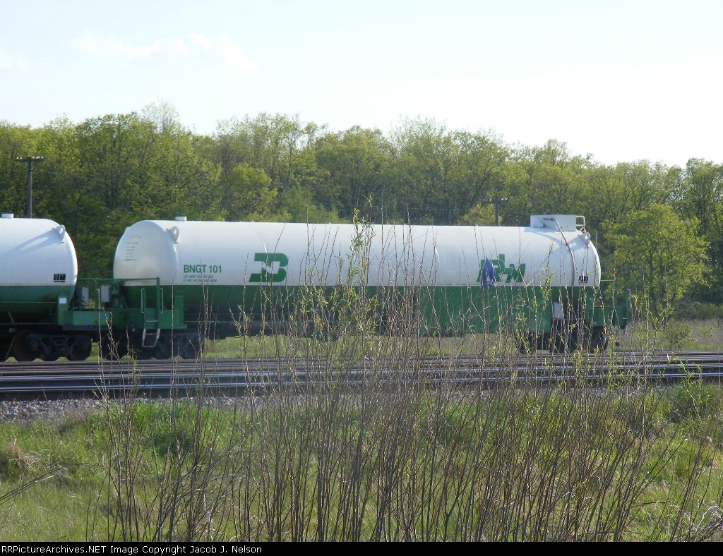 BNGT 101