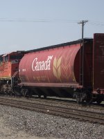 CN 110228